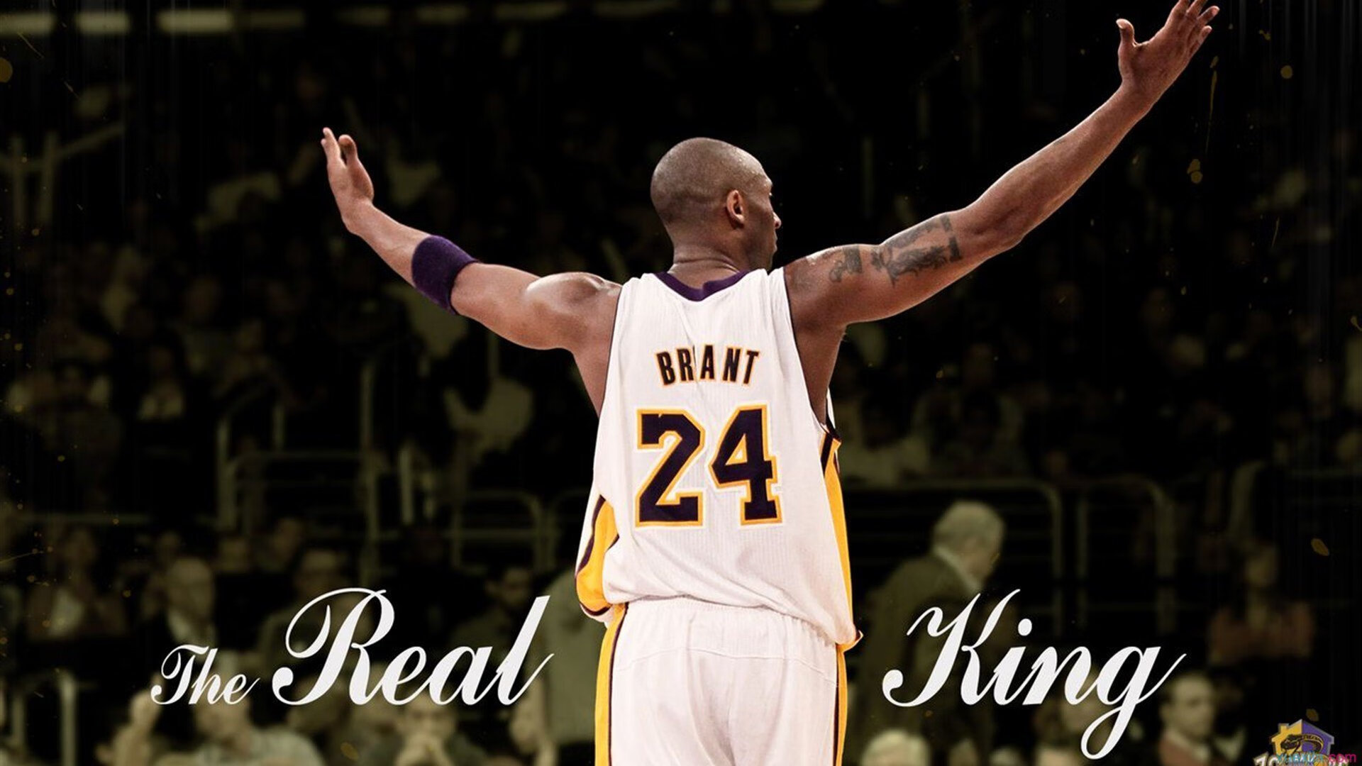 利拉德压哨绝杀如鹈鹕展翅，吉林队憾负成最强背景板